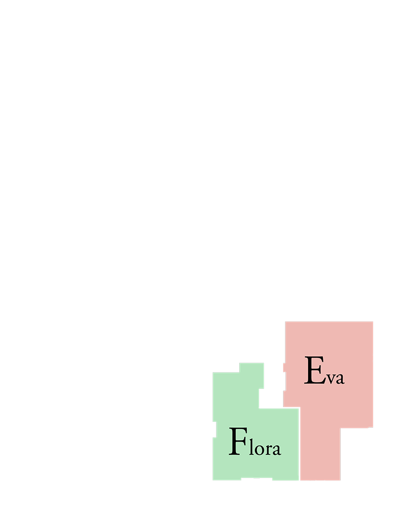 Typical Type E & F